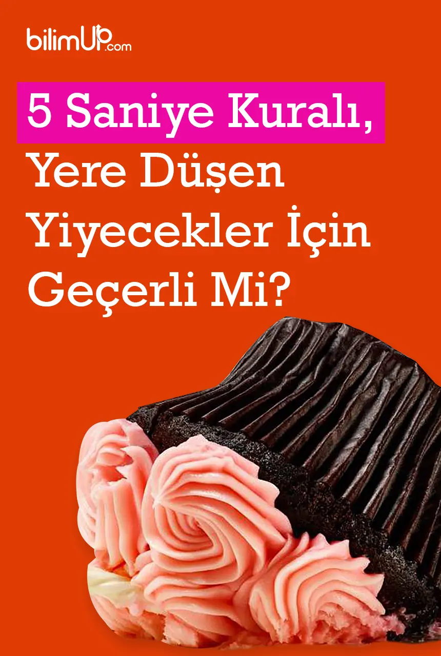 5 Saniye Kuralı, Yere Düşen Yiyecekler İçin Geçerli Mi?