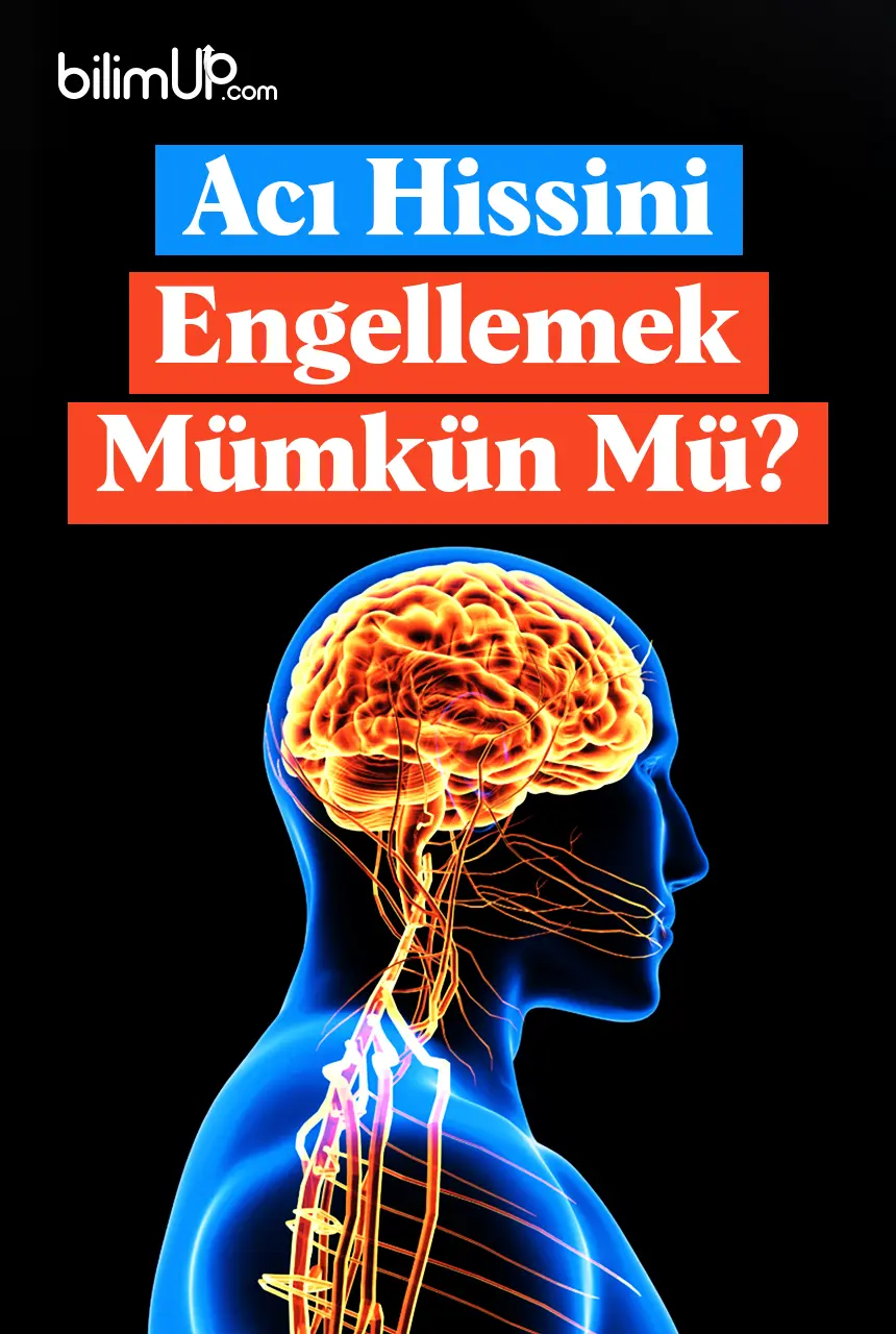 Acı Hissini Engellemek Mümkün Mü?