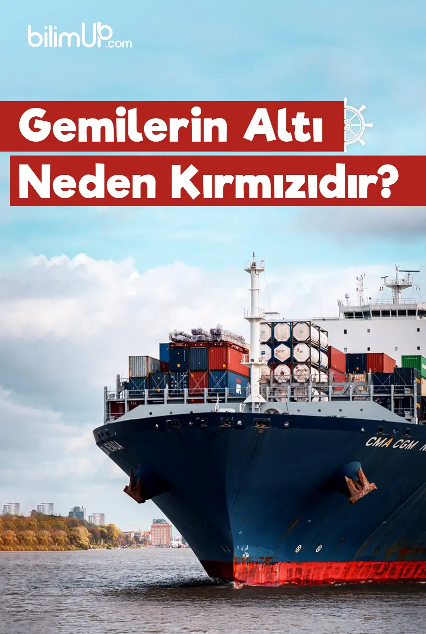 Gemilerin Altı Neden Kırmızıdır?
