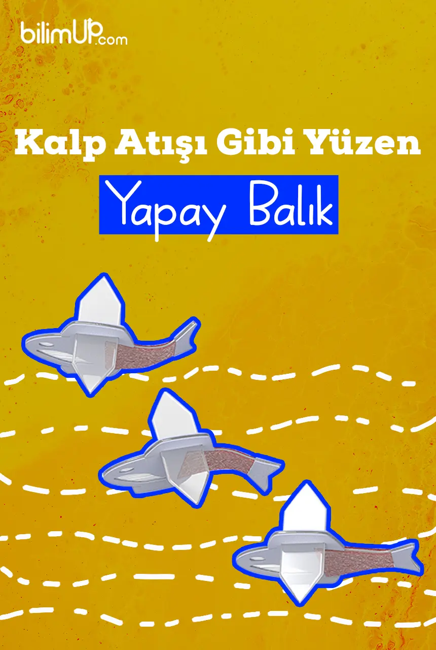 Kalp Atışı Gibi Yüzen Yapay Balık