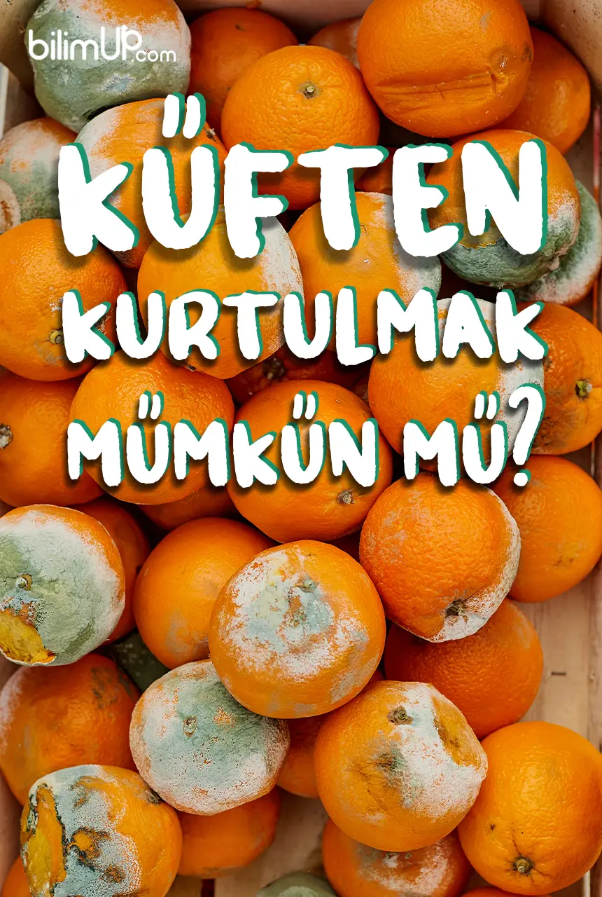 Küften Kurtulmak Mümkün Mü? Küften Kurtulmanın Yolları