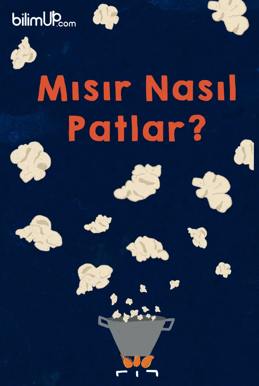 Mısır Nasıl Patlar?