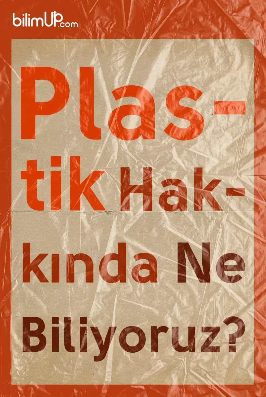 Plastik Hakkında Ne Biliyoruz? Plastik Nedir? Plastik Tüketimi