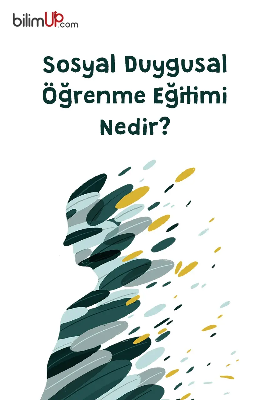 Sosyal Duygusal Öğrenme Eğitimi Nedir?