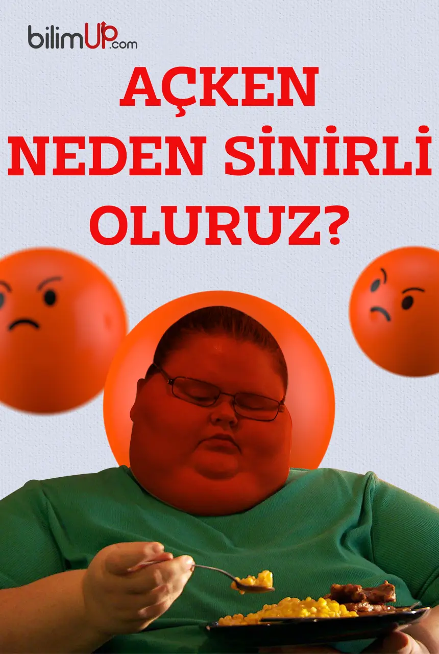 Açken Neden Sinirli Oluruz?