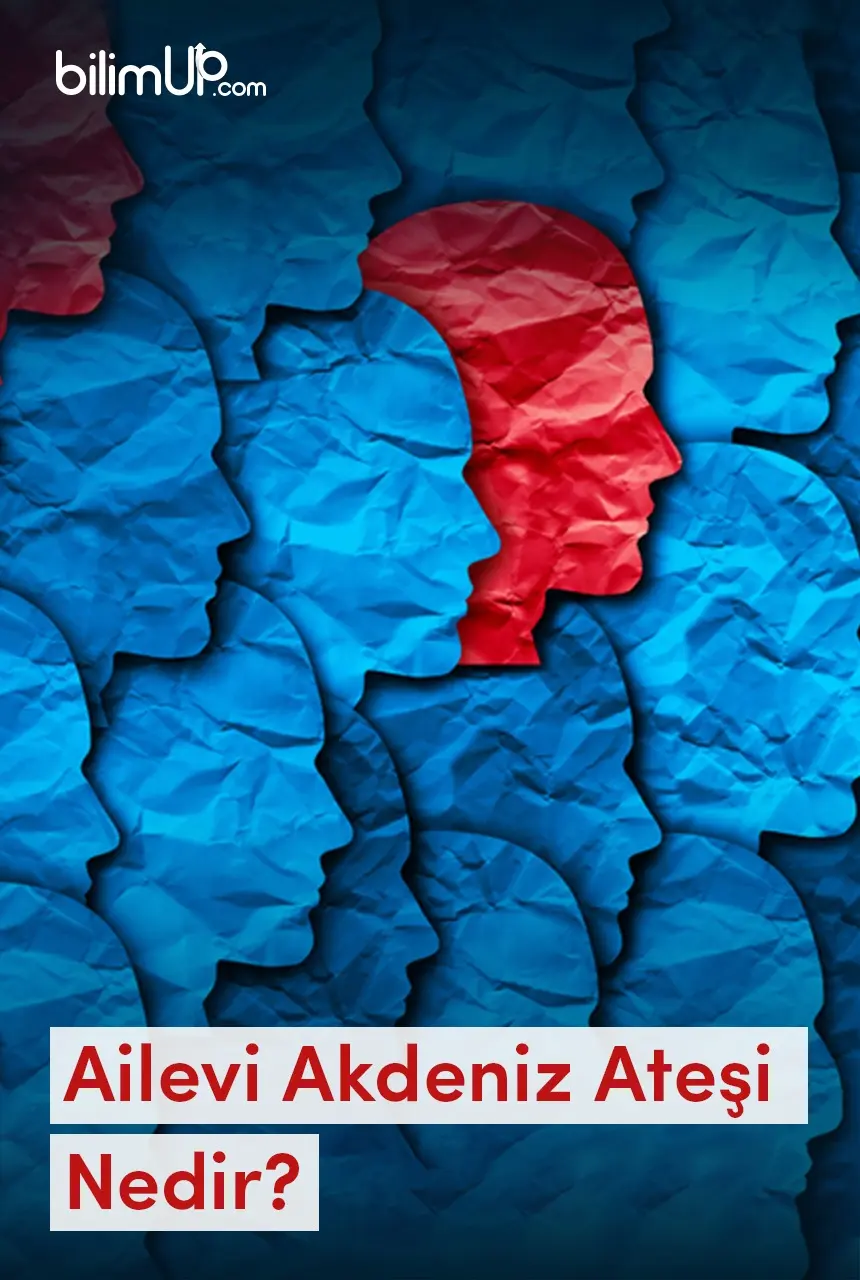 Ailevi Akdeniz Ateşi Nedir?