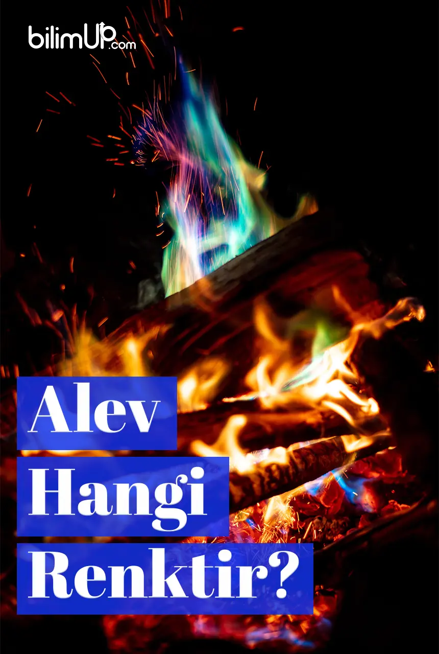 Alev Hangi Renktir?