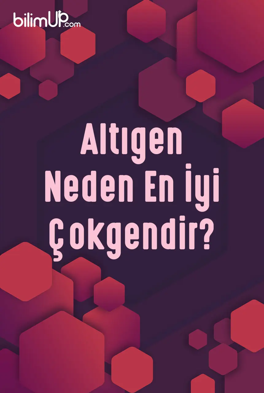 Altıgen Neden En İyi Çokgendir?