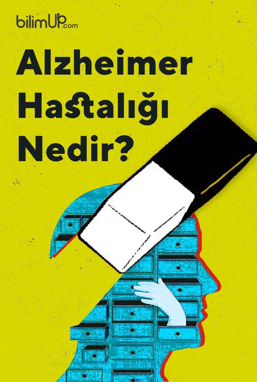 Alzheimer Hastalığı Nedir?