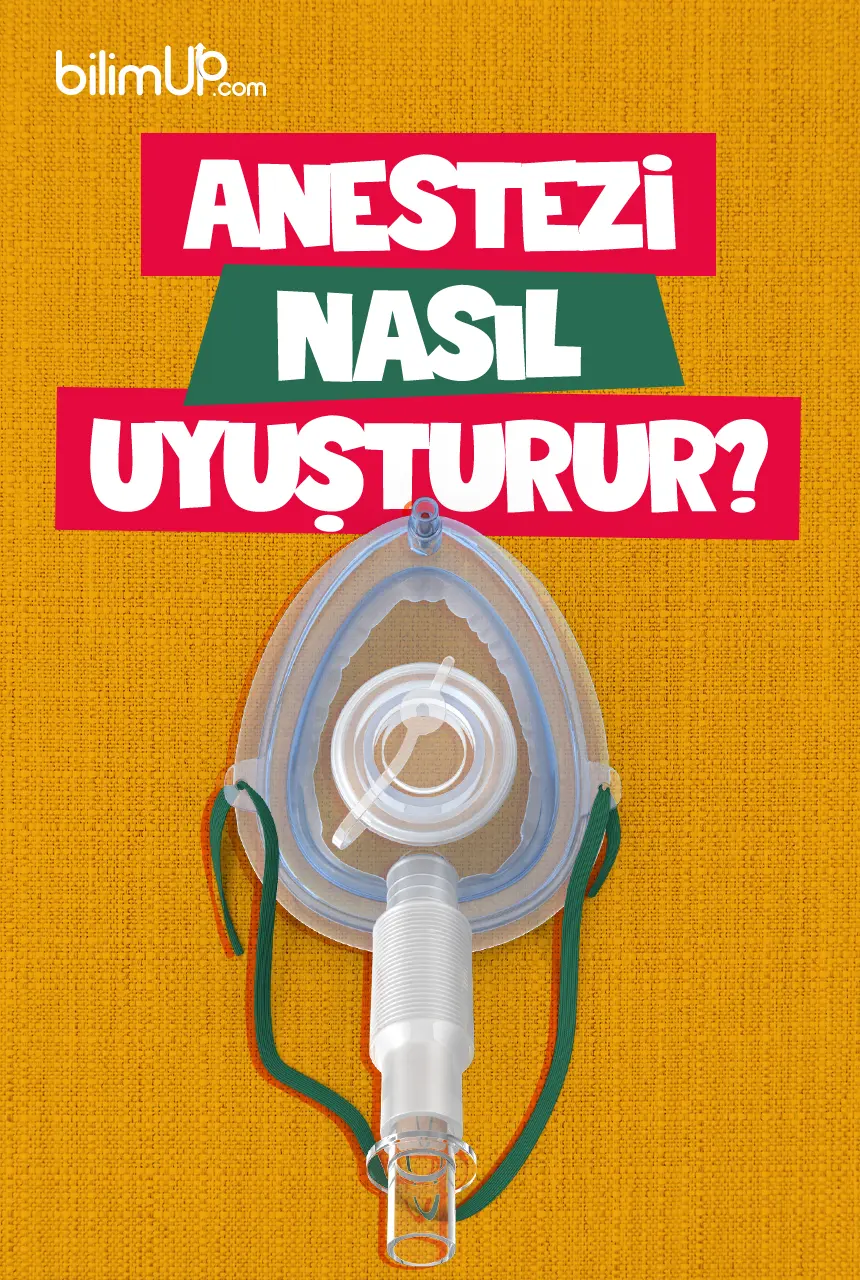 Anestezi Nasıl Uyuşturur?