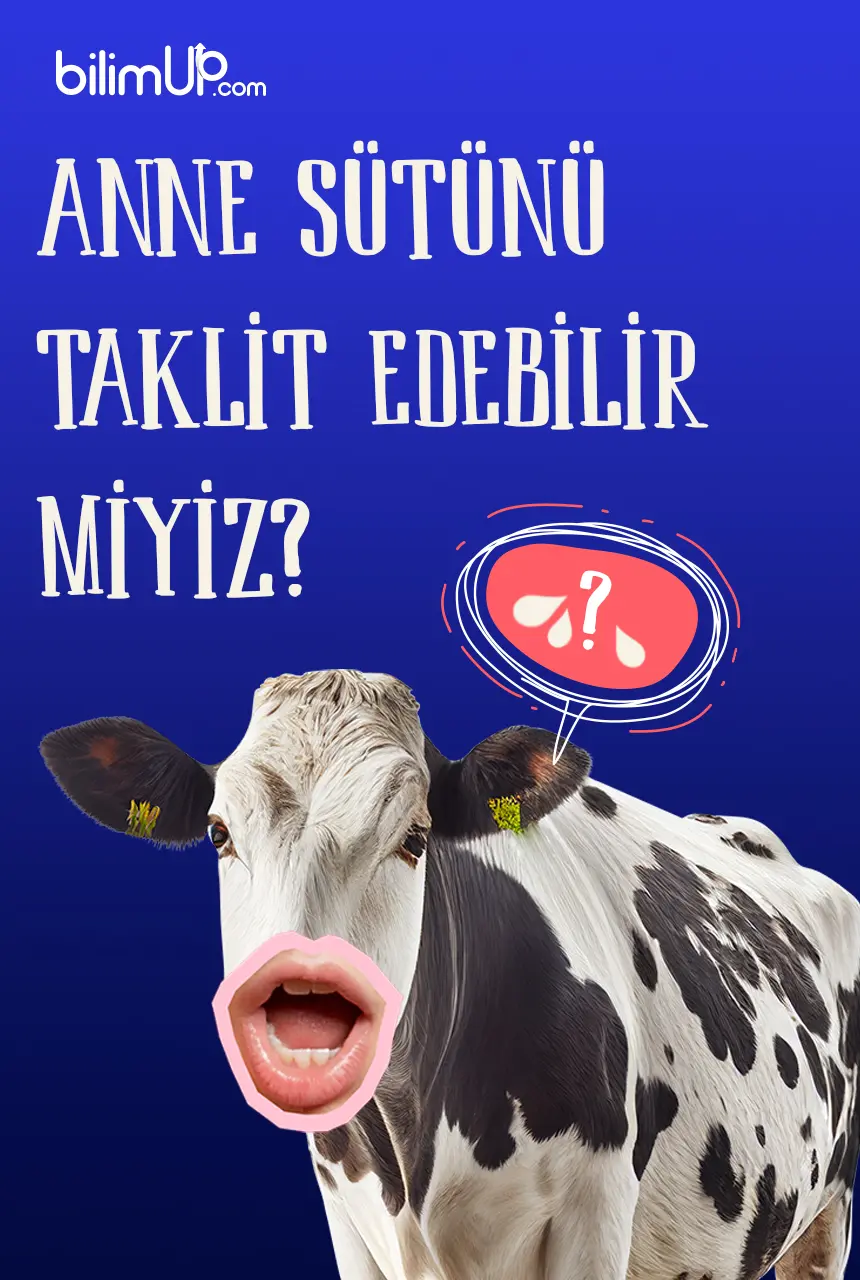 Anne Sütünü Taklit Edebilir miyiz ?