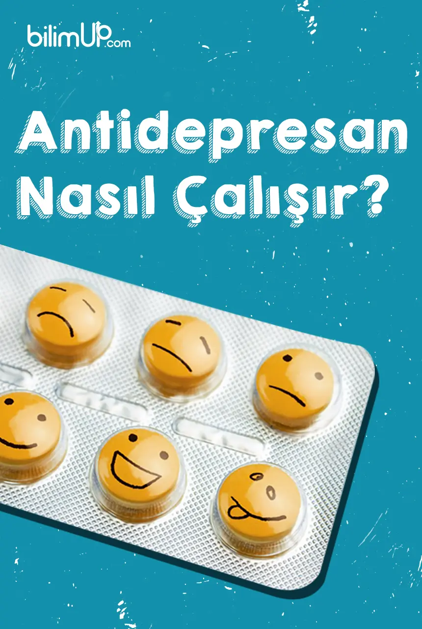 Antidepresanlar Nasıl Çalışır?