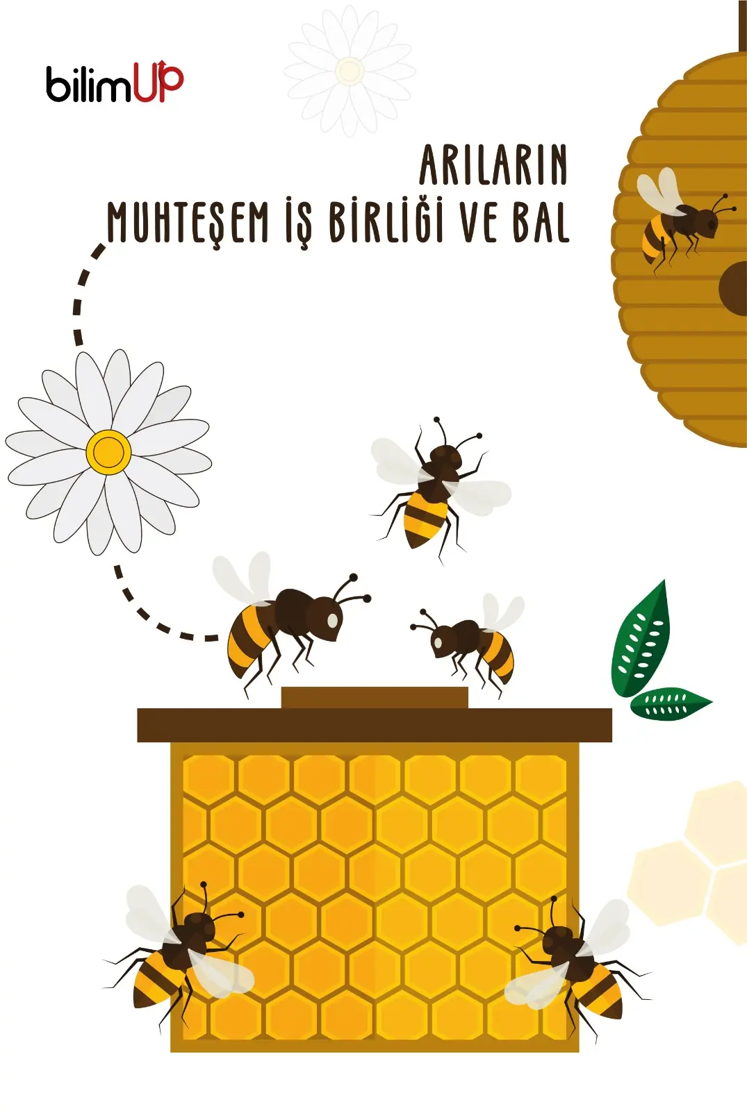 Arıların Muhteşem İş Birliği ve Bal