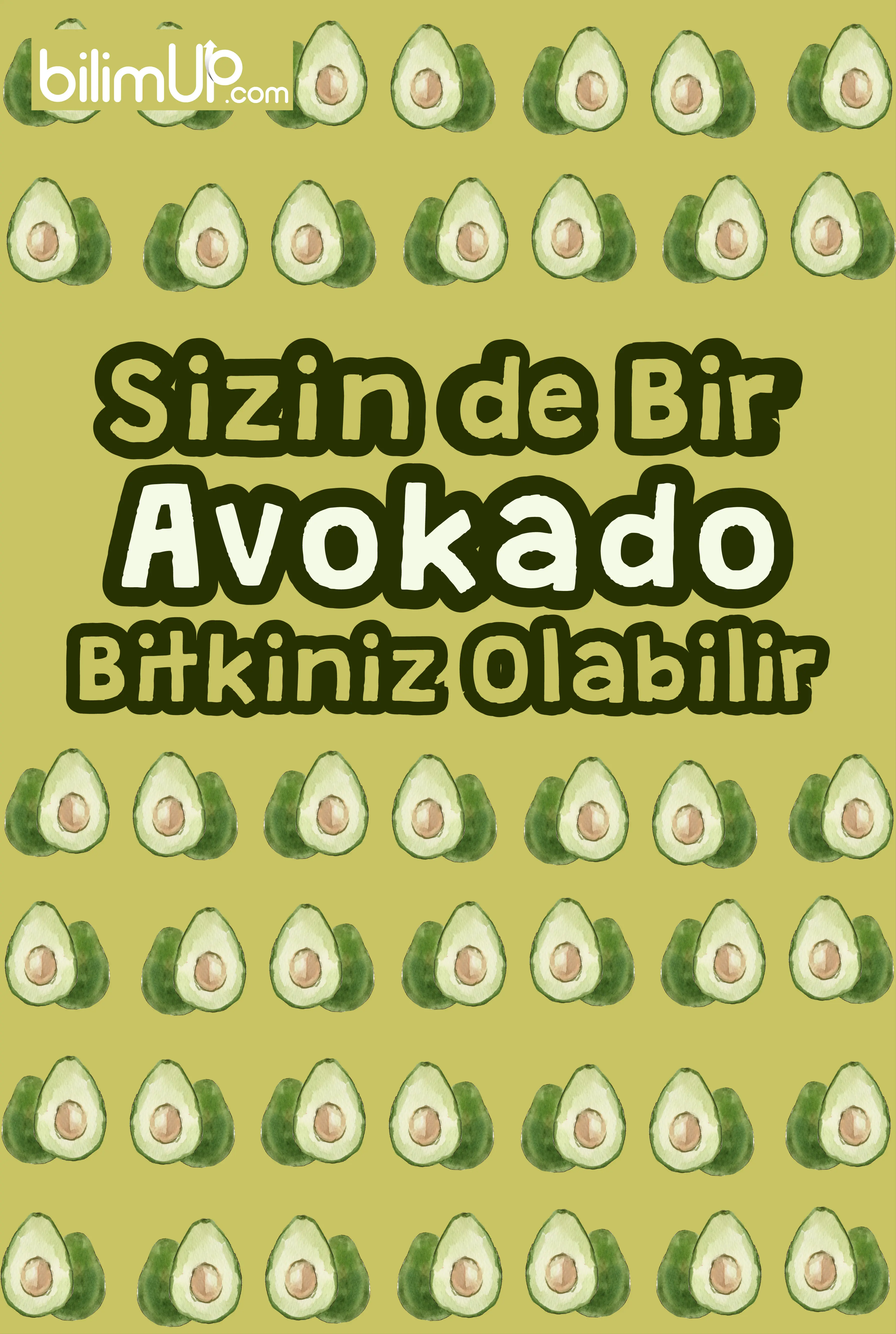 Sizin de bir avokado bitkiniz olabilir!
