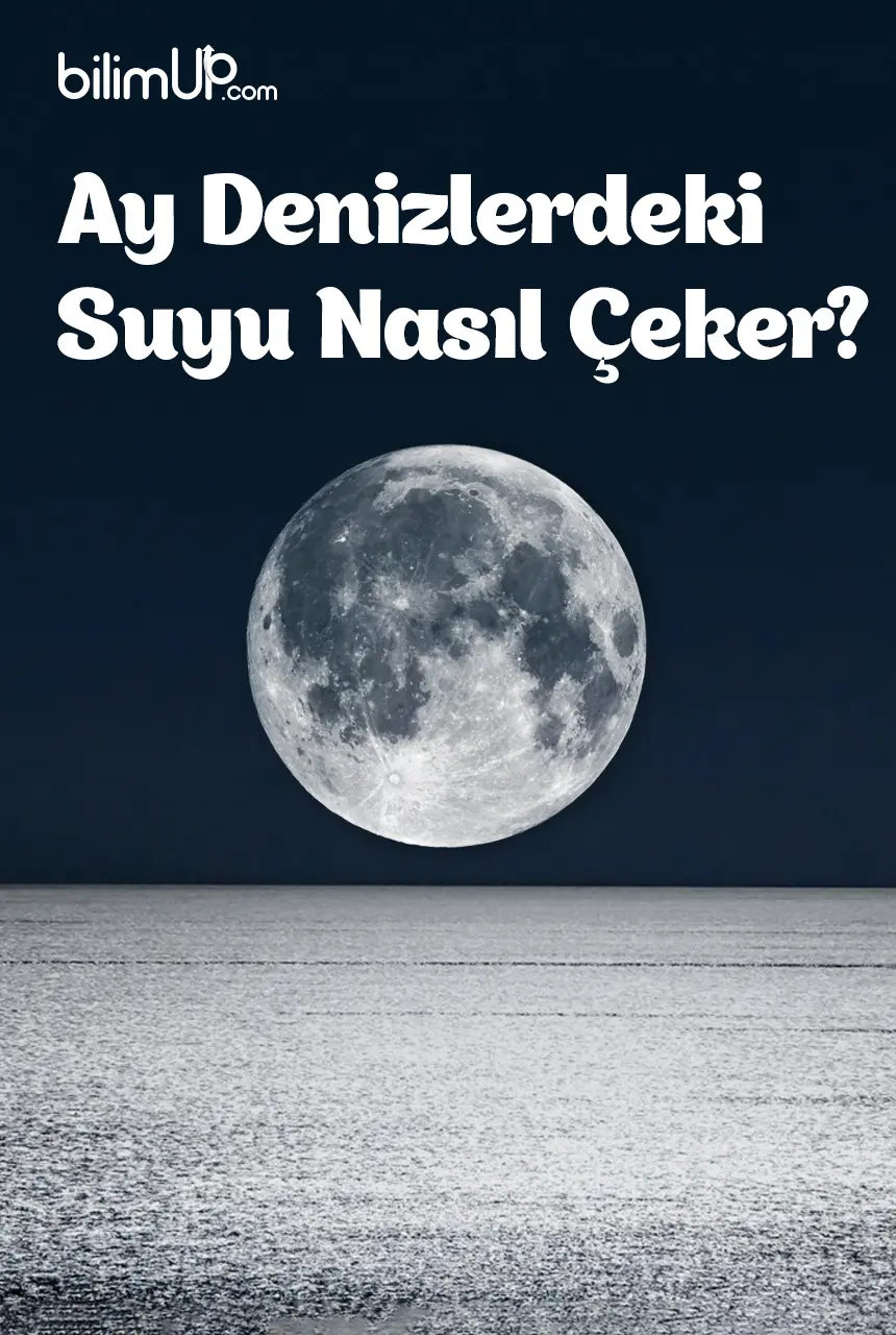 Ay Denizlerdeki Suyu Nasıl Çeker?