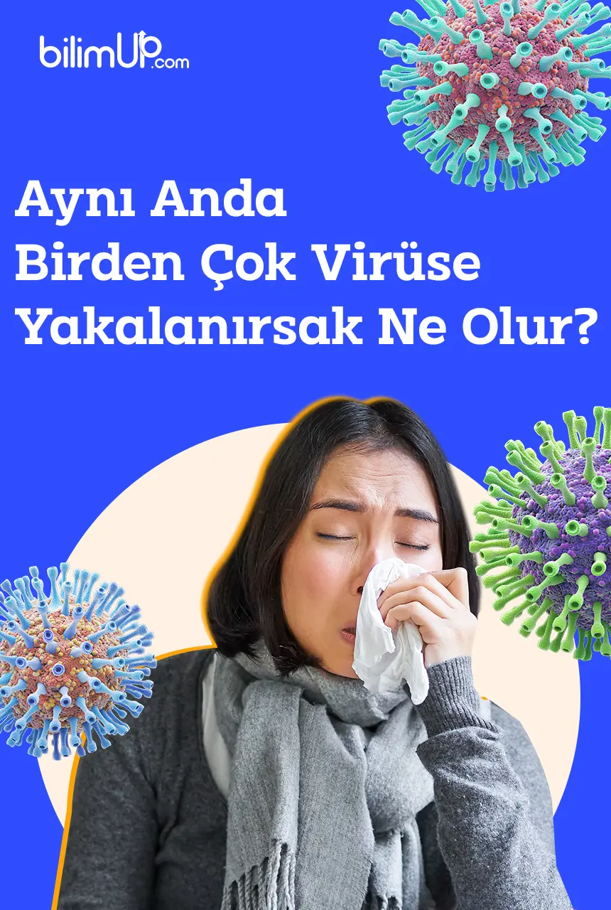 Aynı Anda Birden Çok Virüse Yakalanırsak Ne Olur?