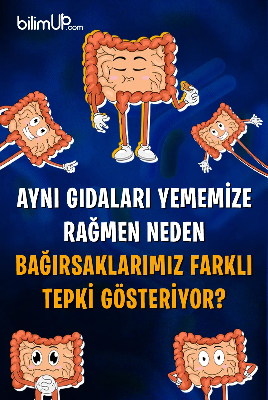 Aynı Gıdaları Yememize Rağmen Neden Bağırsaklarımız Farklı Tepki Gösteriyor?
