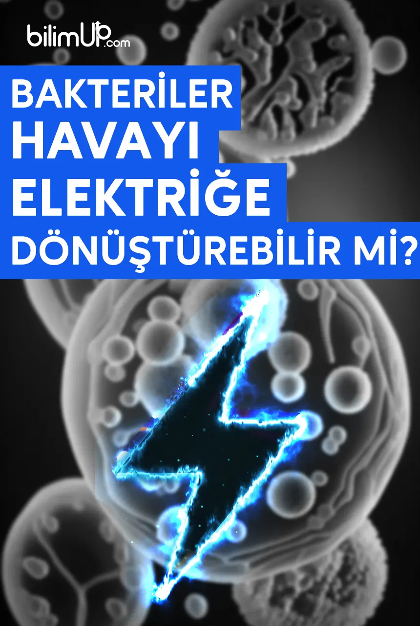 Bakteriler Havayı Elektriğe Dönüştürebilir Mi?