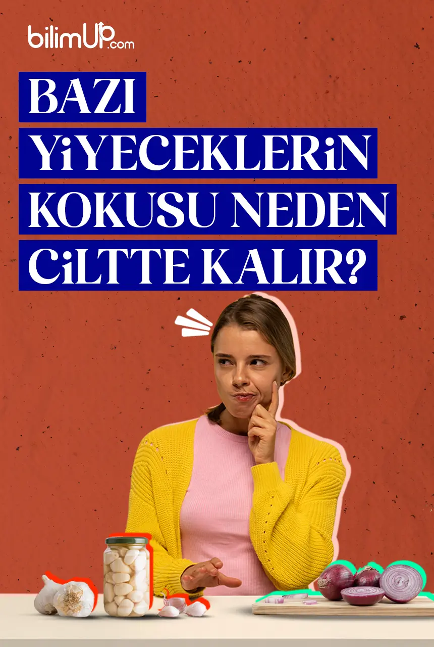 Bazı Yiyeceklerin Kokusu Neden Ciltte Kalır?