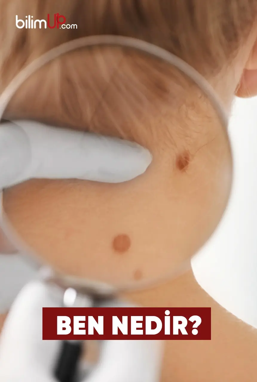 Ben Nedir?