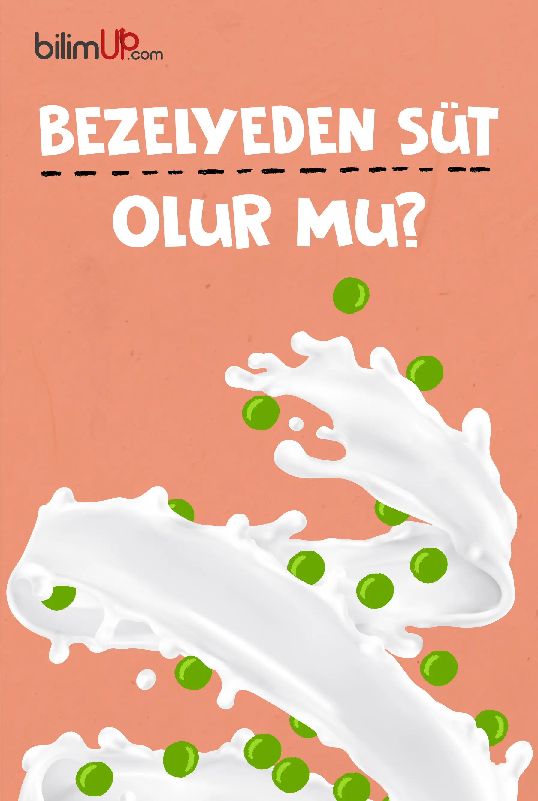 Bezelyeden Süt Olur Mu?