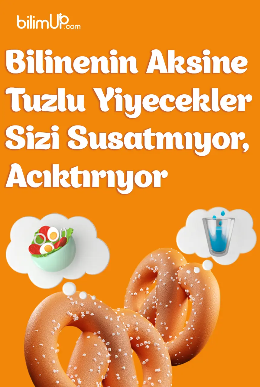 Bilinenin Aksine Tuzlu Yiyecekler  Susatmıyor, Acıktırıyor