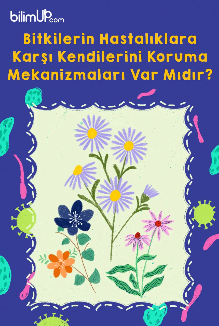 Bitkilerin Hastalıklara Karşı Kendilerini Koruma Mekanizmaları Var Mıdır?