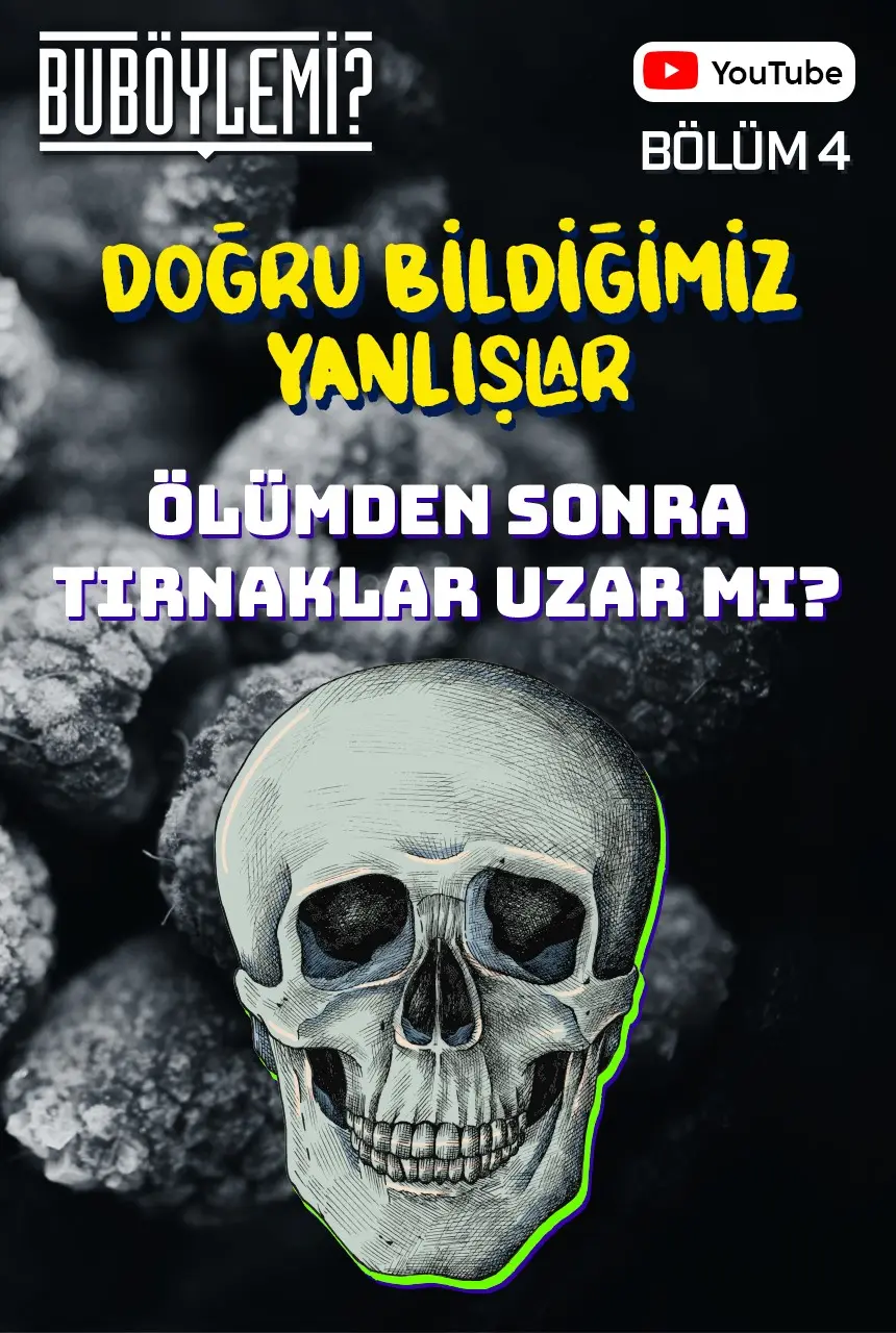 Bu Böyle Mi? Bölüm 4