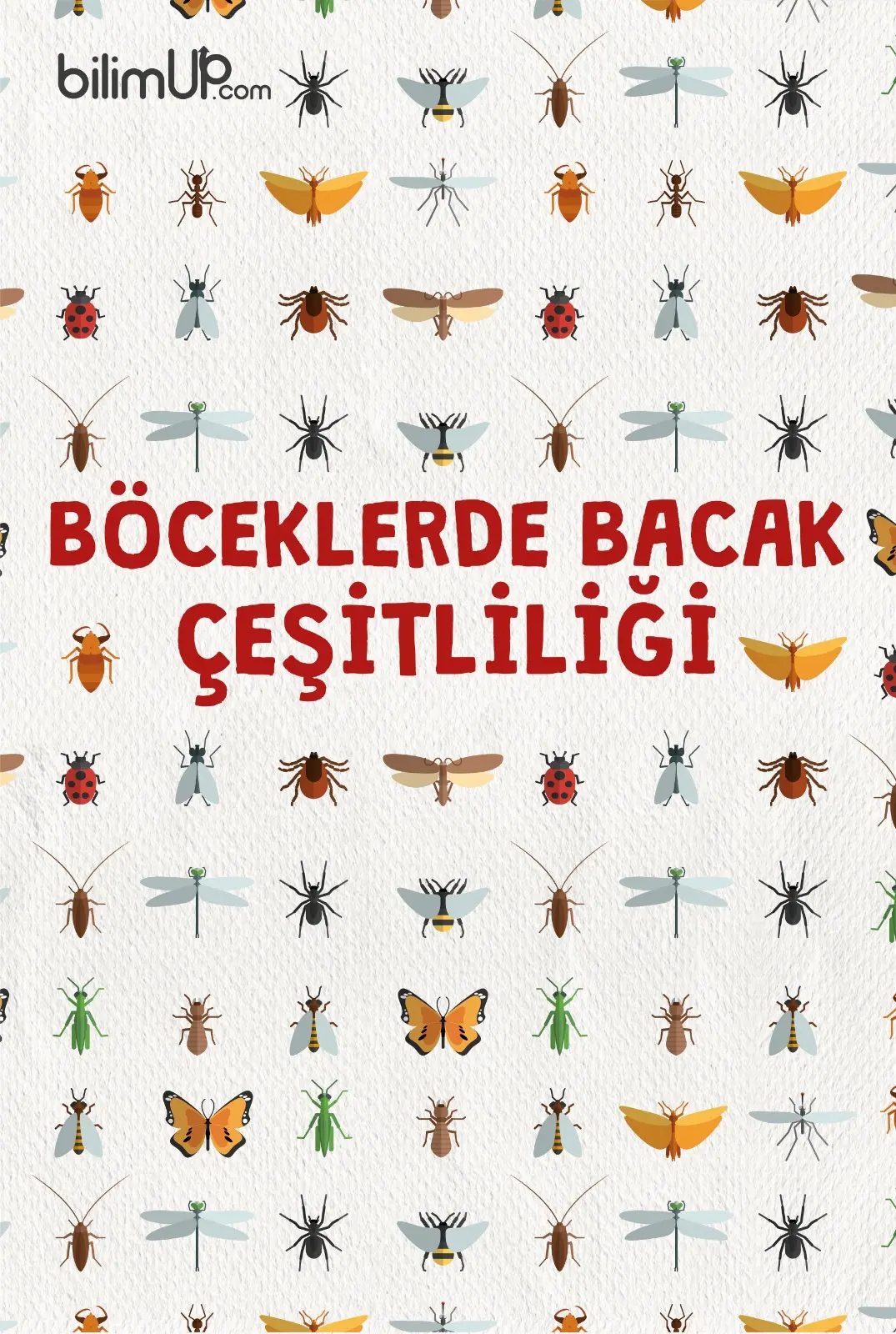 Böceklerde Bacak Çeşitliliği