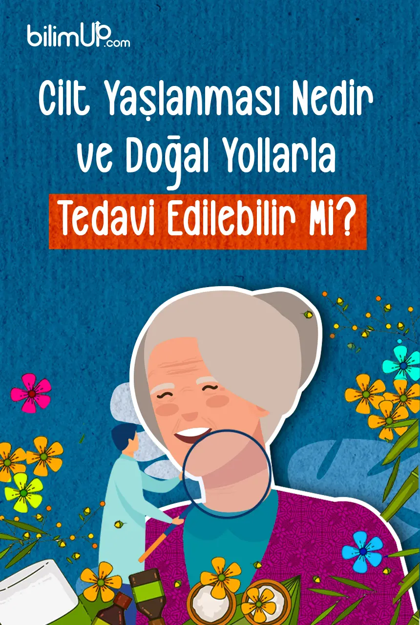 Cilt Yaşlanması Nedir ve Doğal Yollarla Tedavi Edilebilir Mi?