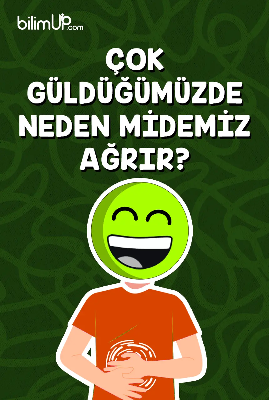 Çok Güldüğümüzde Neden Midemiz Ağrır?