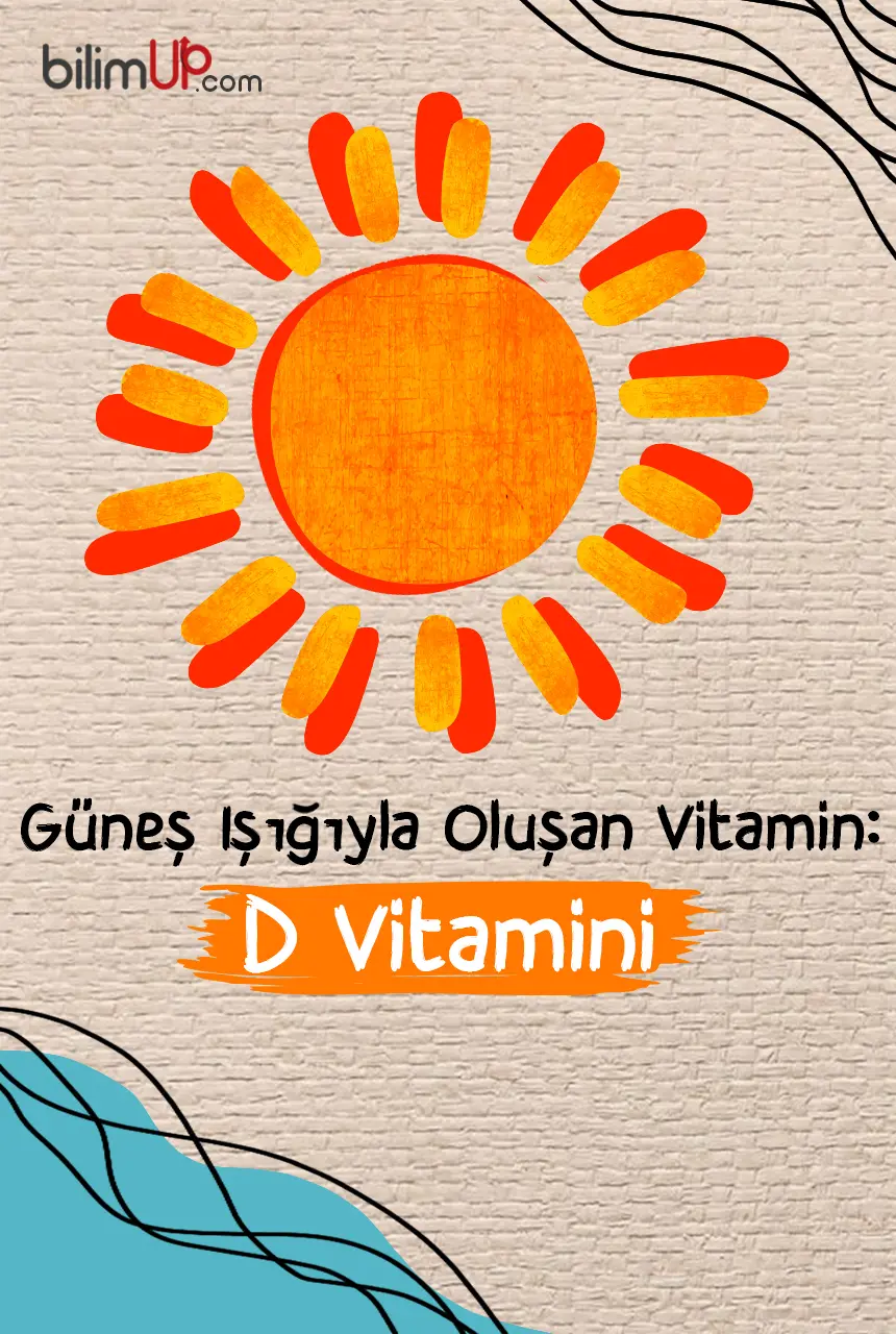 Güneş Işığıyla Oluşan Vitamin: D Vitamini