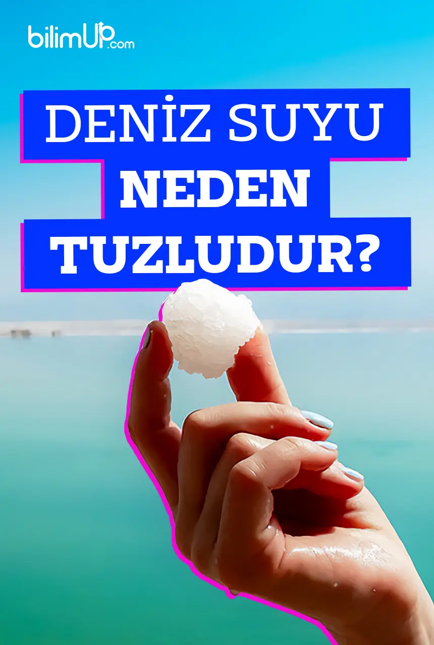 Deniz Suyu Neden Tuzludur?