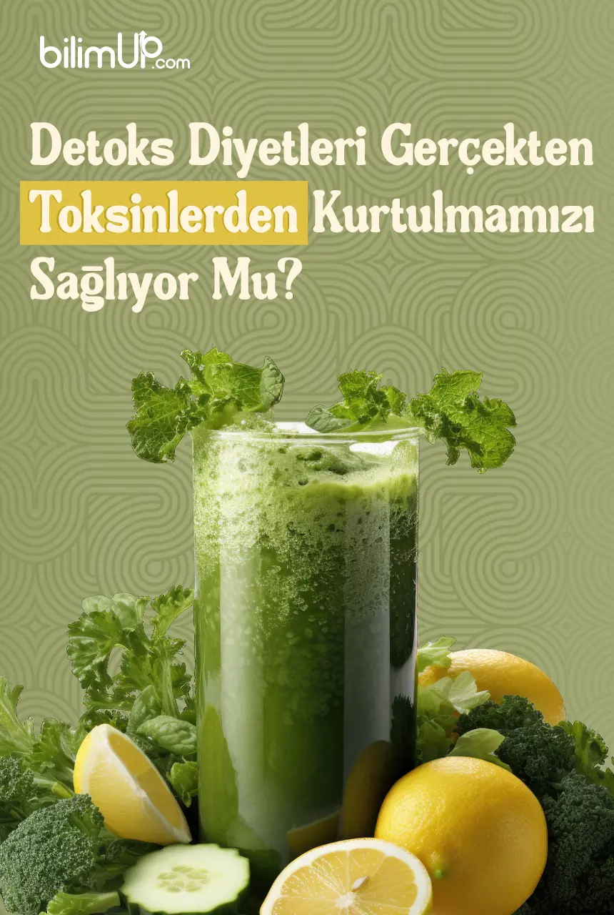 Detoks Diyetleri Gerçekten Toksinlerden Kurtulmamızı Sağlıyor Mu?
