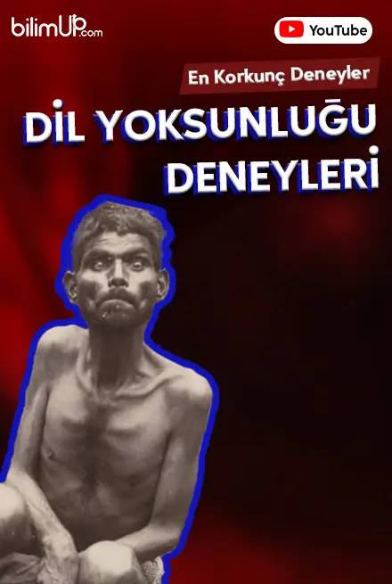 En Korkunç Deneyeler - Dil Yoksunluğu Deneyleri