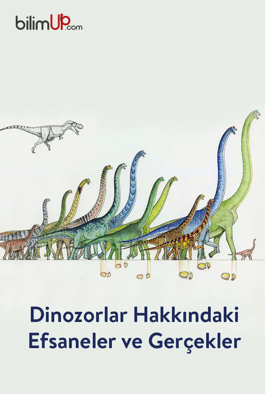 Dinozorlar Hakkındaki Efsaneler ve Gerçekler