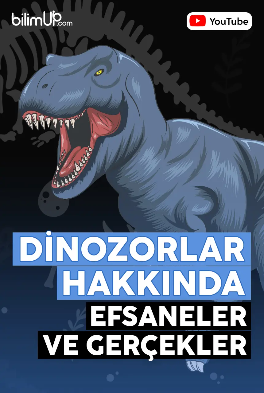 Dinozorlar Hakkında Efsaneler ve Gerçekler - Video