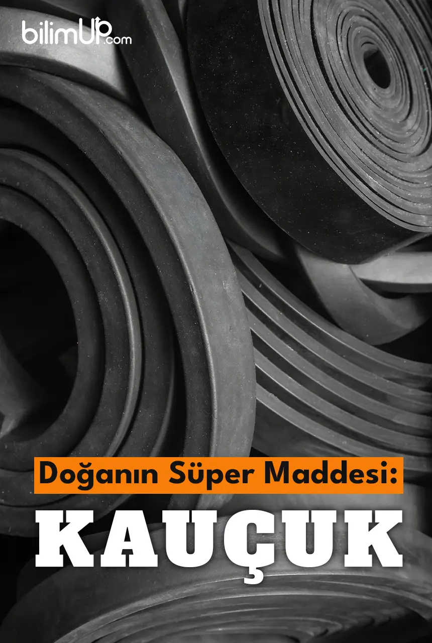Doğanın Süper Maddesi: Kauçuk