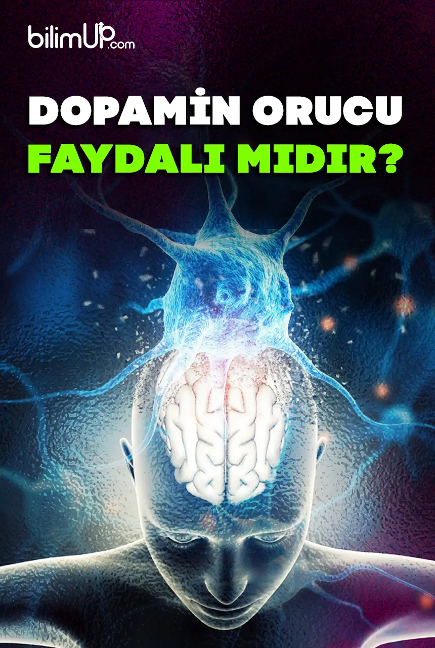 Dopamin Orucu Faydalı Mıdır?