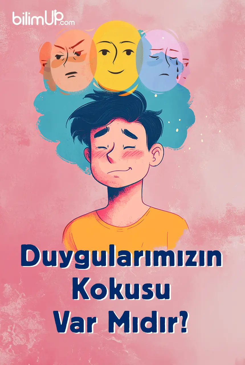 Duygularımızın Kokusu Var Mıdır?