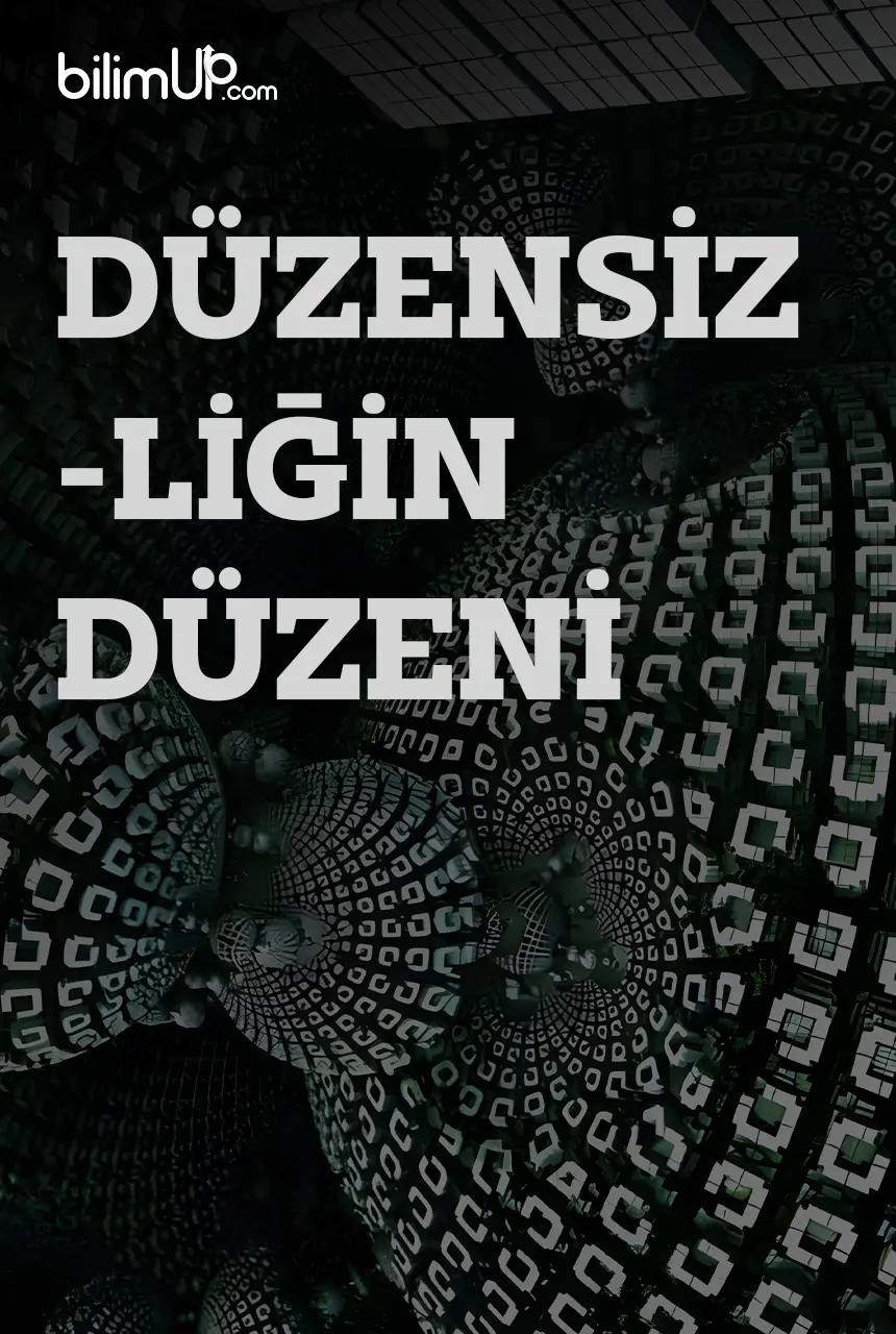 Düzensizliğin Düzeni