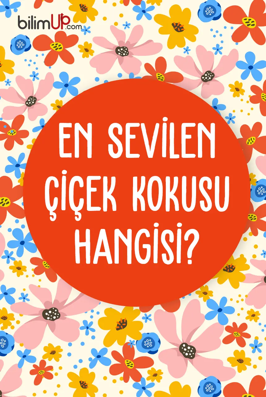 En sevilen çiçek kokusu hangisidir?