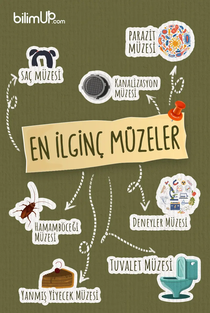 Dünyadaki En İlginç Müzeler