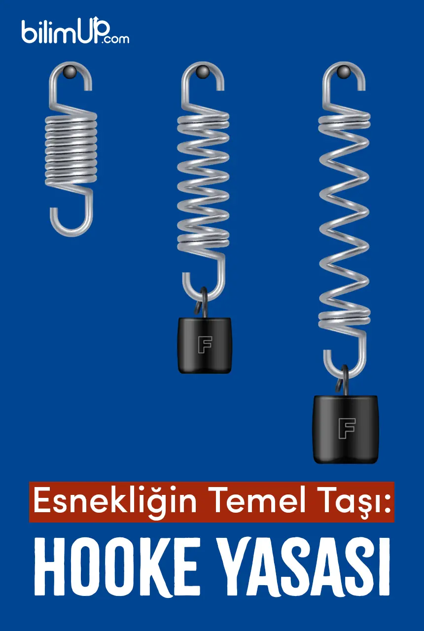 Esnekliğin Temel Taşı: Hooke Yasası