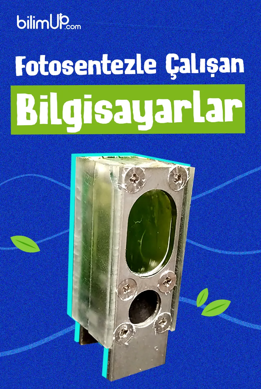 Fotosentezle Çalışan Bilgisayarlar