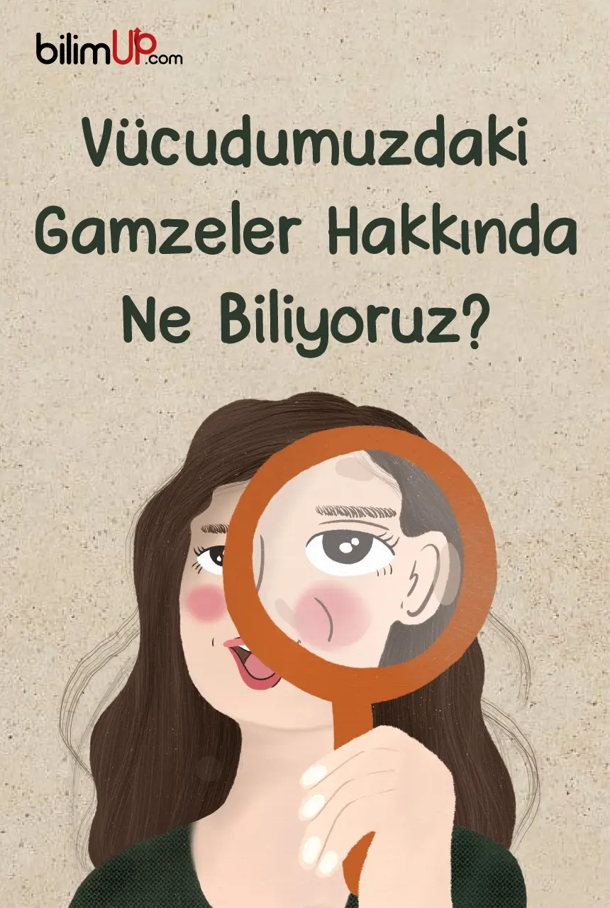 Vücüdumuzdaki Gamzeler Hakkında Ne Biliyoruz?