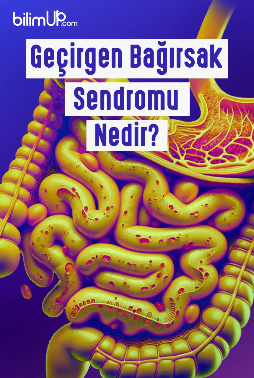Geçirgen Bağırsak Sendromu Nedir?