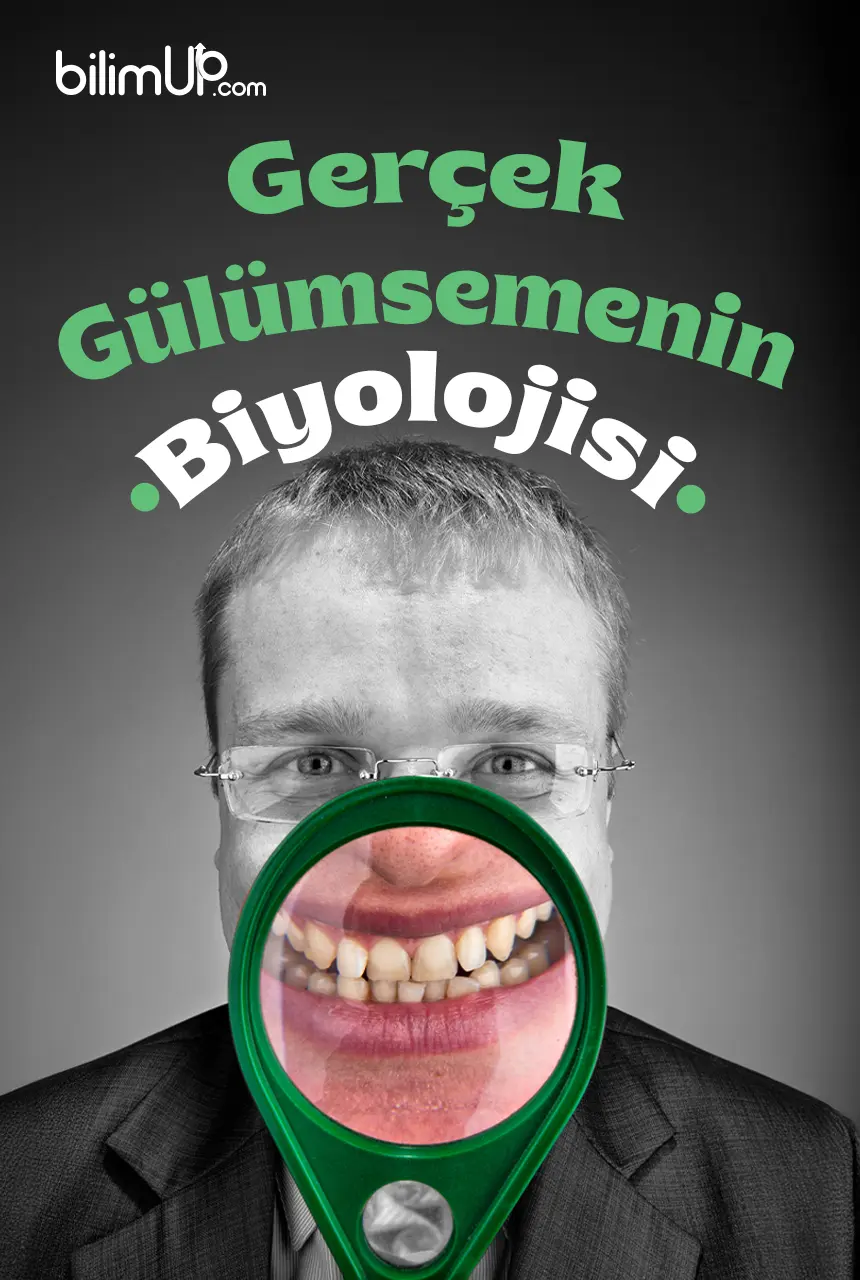Gerçek Gülümsemenin Biyolojisi