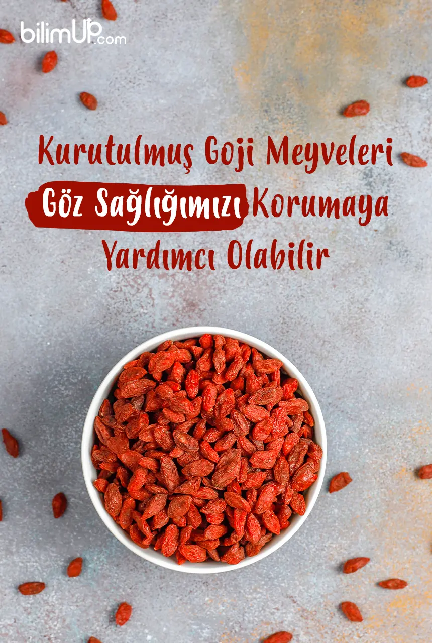 Kurutulmuş Goji Meyveleri Göz Sağlığımızı Korumaya Yardımcı Olabilir