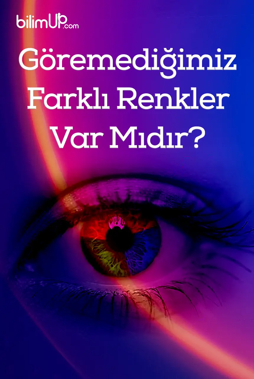 Göremediğimiz Farklı Renkler Var Mıdır?